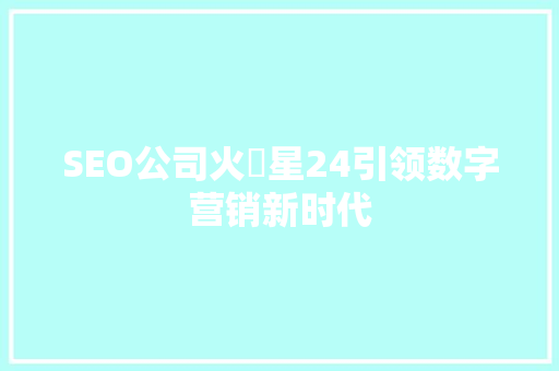 SEO公司火乛星24引领数字营销新时代