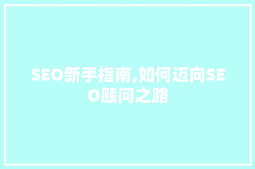 SEO新手指南,如何迈向SEO顾问之路