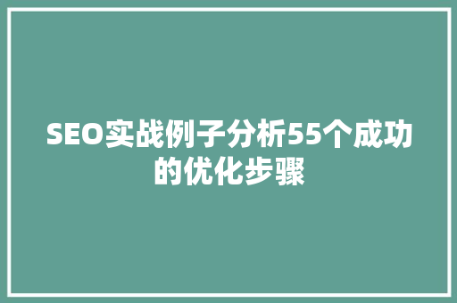 SEO实战例子分析55个成功的优化步骤