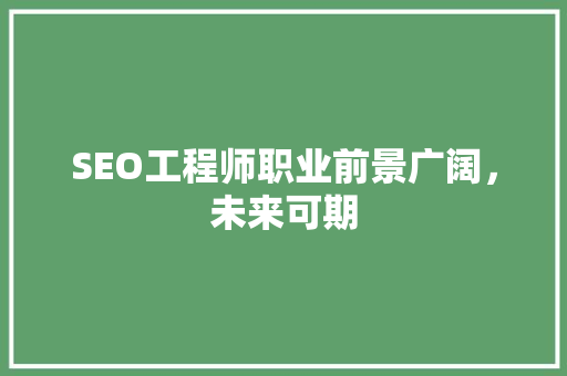 SEO工程师职业前景广阔，未来可期