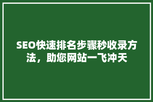 SEO快速排名步骤秒收录方法，助您网站一飞冲天