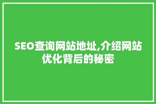 SEO查询网站地址,介绍网站优化背后的秘密
