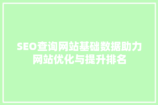 SEO查询网站基础数据助力网站优化与提升排名