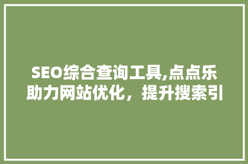 SEO综合查询工具,点点乐助力网站优化，提升搜索引擎排名