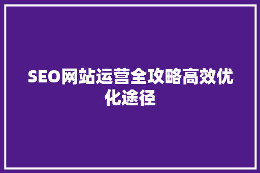 SEO网站运营全攻略高效优化途径