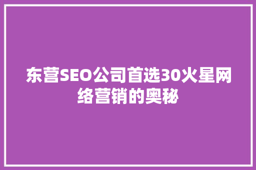 东营SEO公司首选30火星网络营销的奥秘