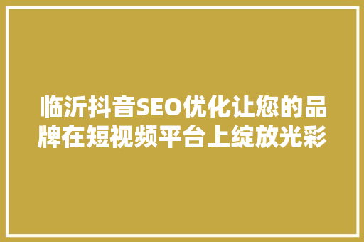 临沂抖音SEO优化让您的品牌在短视频平台上绽放光彩