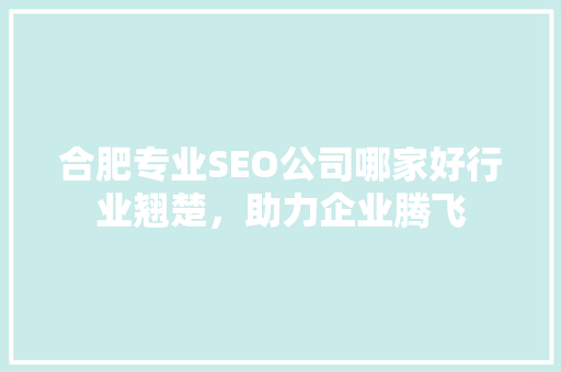 合肥专业SEO公司哪家好行业翘楚，助力企业腾飞