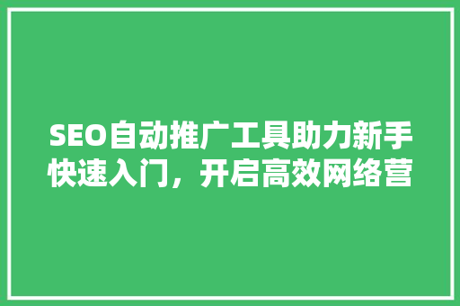 SEO自动推广工具助力新手快速入门，开启高效网络营销之旅  第1张