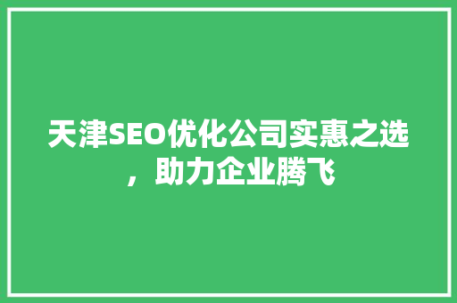 天津SEO优化公司实惠之选，助力企业腾飞