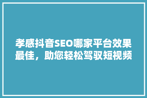 孝感抖音SEO哪家平台效果最佳，助您轻松驾驭短视频流量