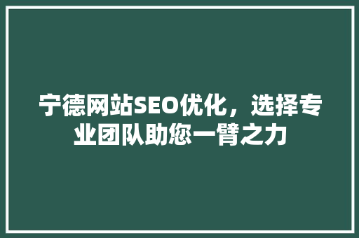 宁德网站SEO优化，选择专业团队助您一臂之力