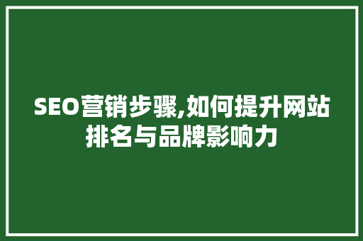 SEO营销步骤,如何提升网站排名与品牌影响力  第1张