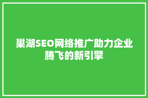 巢湖SEO网络推广助力企业腾飞的新引擎