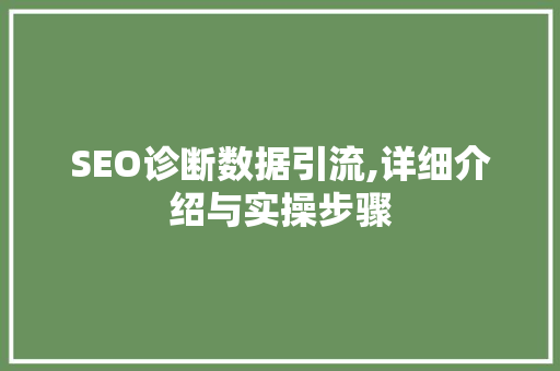 SEO诊断数据引流,详细介绍与实操步骤
