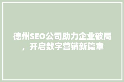 德州SEO公司助力企业破局，开启数字营销新篇章