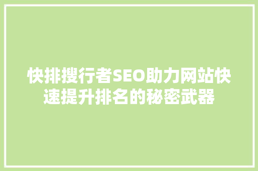 快排搜行者SEO助力网站快速提升排名的秘密武器  第1张