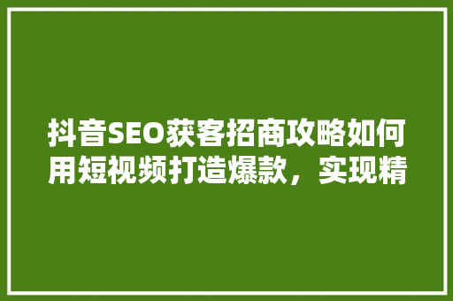抖音SEO获客招商攻略如何用短视频打造爆款，实现精准引流