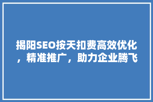 揭阳SEO按天扣费高效优化，精准推广，助力企业腾飞