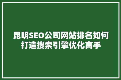 昆明SEO公司网站排名如何打造搜索引擎优化高手