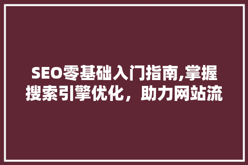SEO零基础入门指南,掌握搜索引擎优化，助力网站流量提升