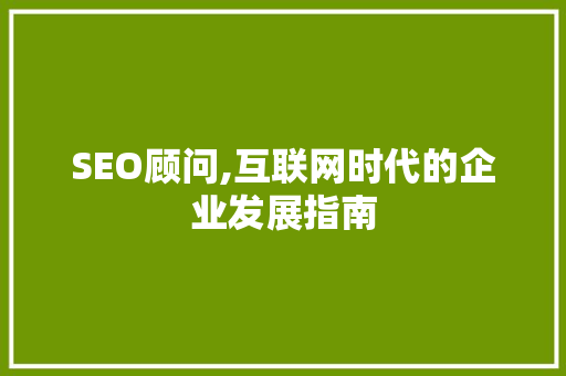 SEO顾问,互联网时代的企业发展指南