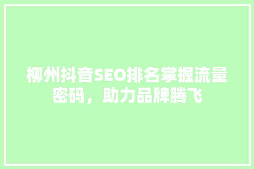 柳州抖音SEO排名掌握流量密码，助力品牌腾飞