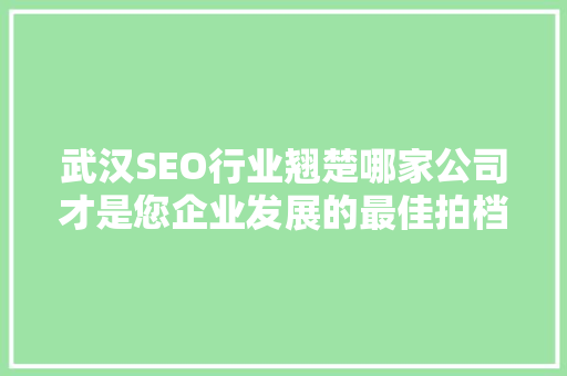 武汉SEO行业翘楚哪家公司才是您企业发展的最佳拍档
