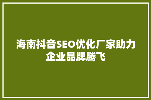 海南抖音SEO优化厂家助力企业品牌腾飞