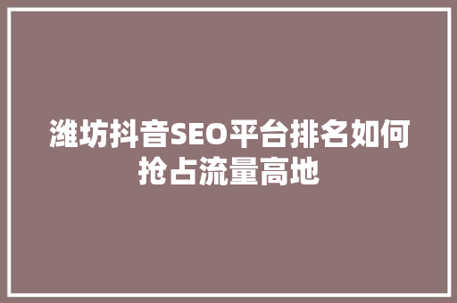 潍坊抖音SEO平台排名如何抢占流量高地