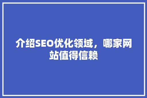 介绍SEO优化领域，哪家网站值得信赖