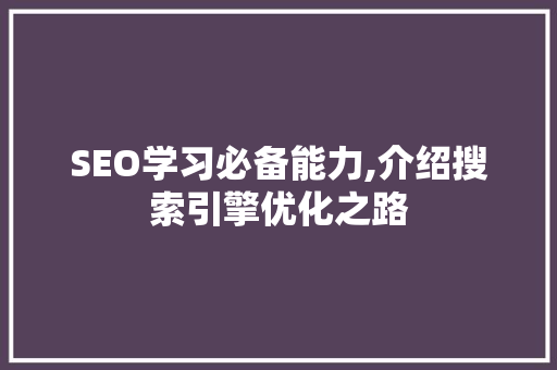 SEO学习必备能力,介绍搜索引擎优化之路