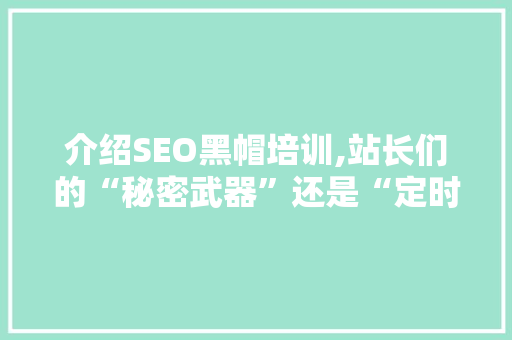 介绍SEO黑帽培训,站长们的“秘密武器”还是“定时炸弹”