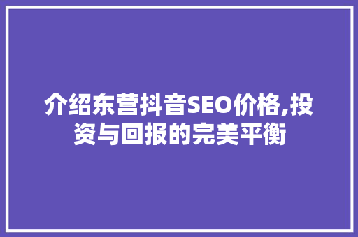介绍东营抖音SEO价格,投资与回报的完美平衡