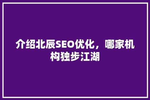 介绍北辰SEO优化，哪家机构独步江湖