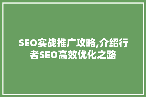 SEO实战推广攻略,介绍行者SEO高效优化之路