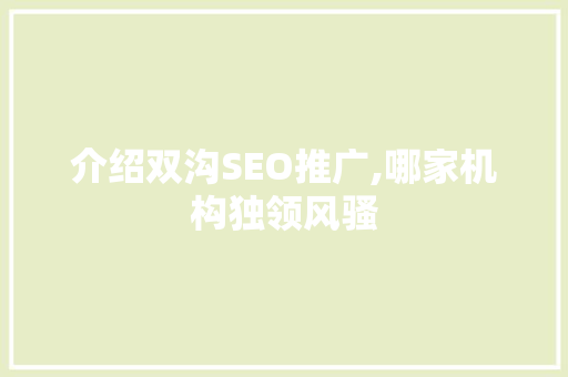 介绍双沟SEO推广,哪家机构独领风骚