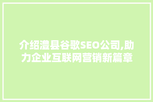 介绍澧县谷歌SEO公司,助力企业互联网营销新篇章