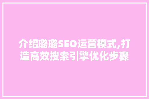 介绍璐璐SEO运营模式,打造高效搜索引擎优化步骤  第1张