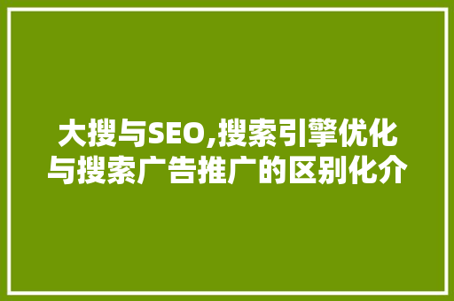 大搜与SEO,搜索引擎优化与搜索广告推广的区别化介绍