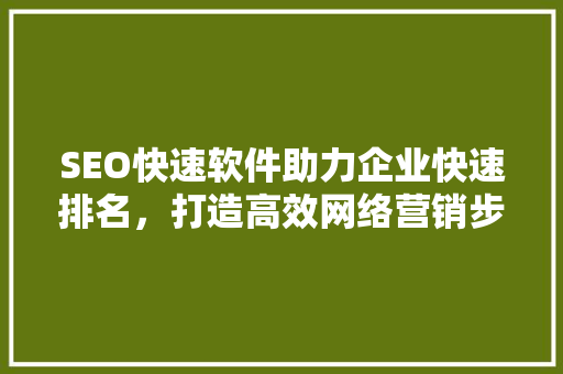 SEO快速软件助力企业快速排名，打造高效网络营销步骤