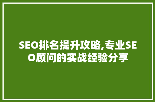 SEO排名提升攻略,专业SEO顾问的实战经验分享