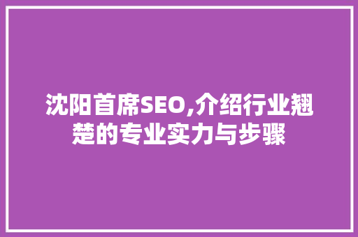 沈阳首席SEO,介绍行业翘楚的专业实力与步骤