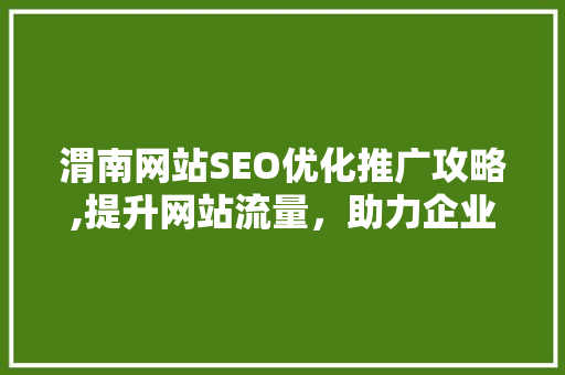 渭南网站SEO优化推广攻略,提升网站流量，助力企业腾飞