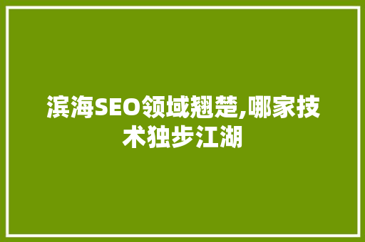滨海SEO领域翘楚,哪家技术独步江湖