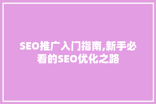 SEO推广入门指南,新手必看的SEO优化之路
