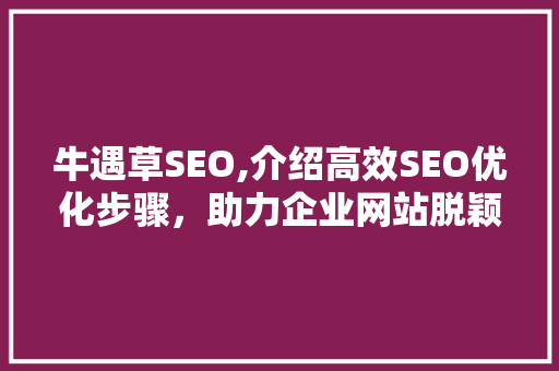 牛遇草SEO,介绍高效SEO优化步骤，助力企业网站脱颖而出