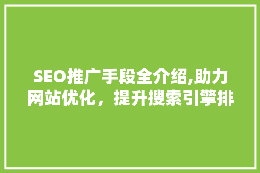 SEO推广手段全介绍,助力网站优化，提升搜索引擎排名