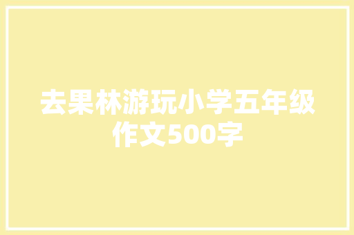 13火星,衢州SEO行业的璀璨新星