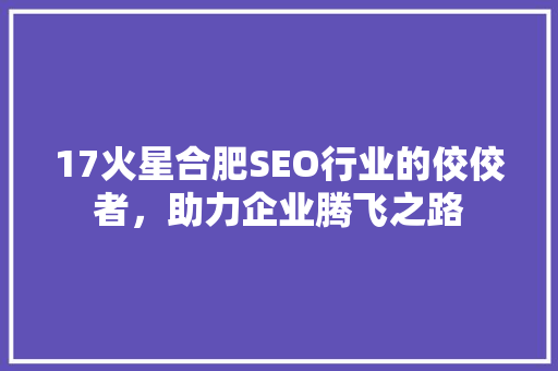 17火星合肥SEO行业的佼佼者，助力企业腾飞之路